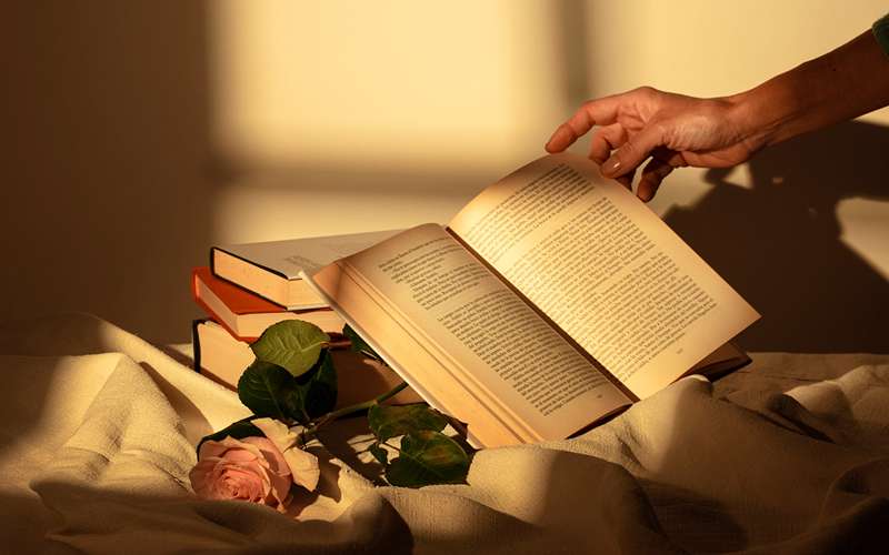 خرید رایگان کتاب بامبوی تنها