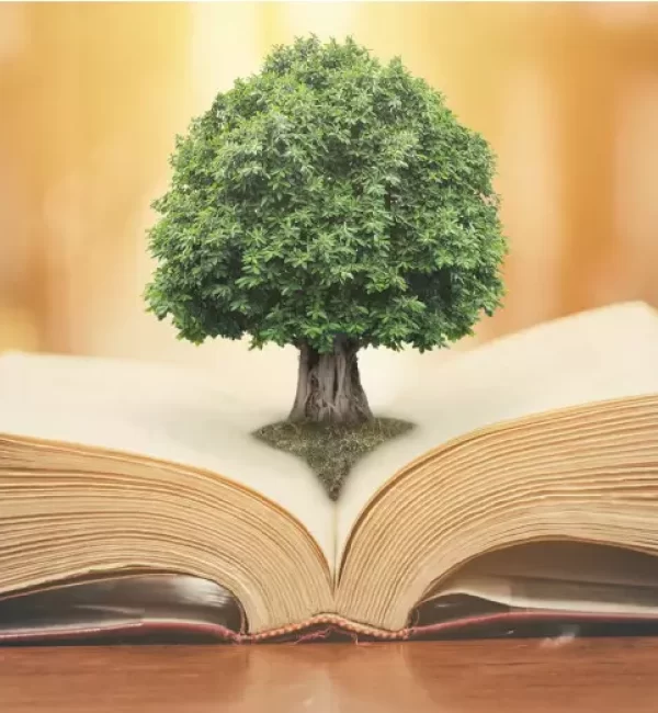 بهترین کتاب های موفقیت
